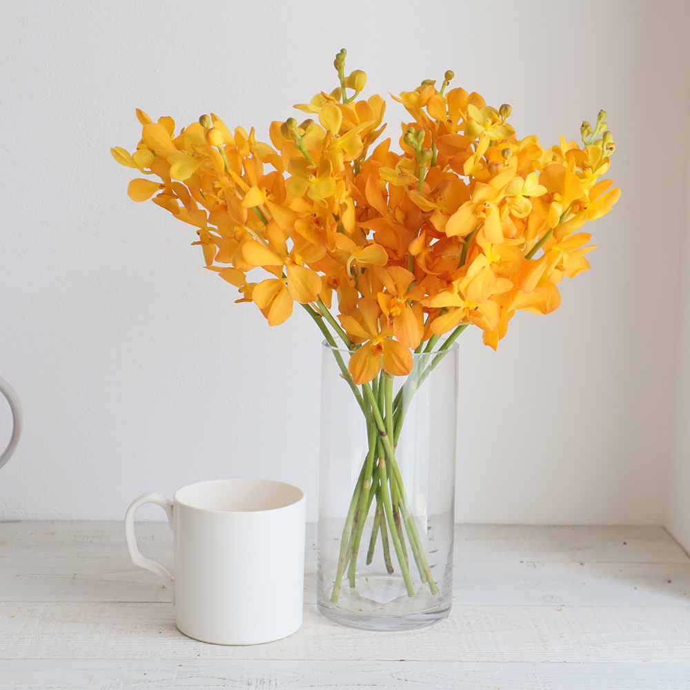 生花 モカラ サイアムゴールド 濃い黄 丸弁 早締切 90 入荷少 通販 はなどんやアソシエ 生花 モカラ サイアムゴールド 濃い黄 丸弁 早締切 90 入荷少 通販 はなどんやアソシエ