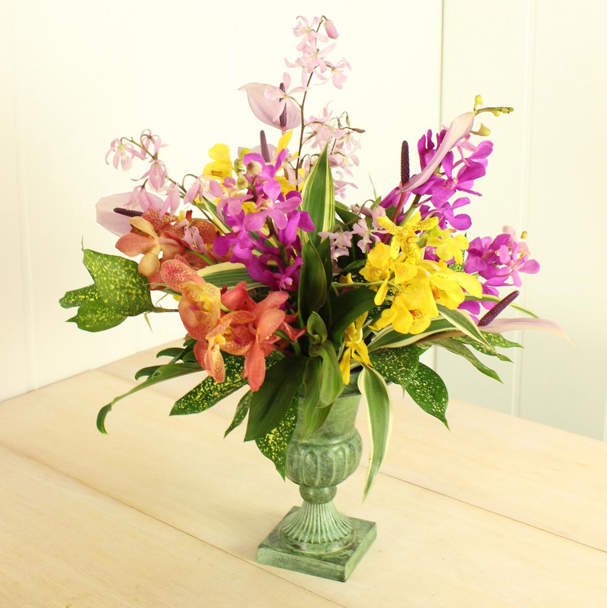 直前 モカラ サンセット イエロー 丸弁 ドット 通販 はなどんやアソシエ 直前 モカラ サンセット イエロー 丸弁 ドット 通販 はなどんやアソシエ