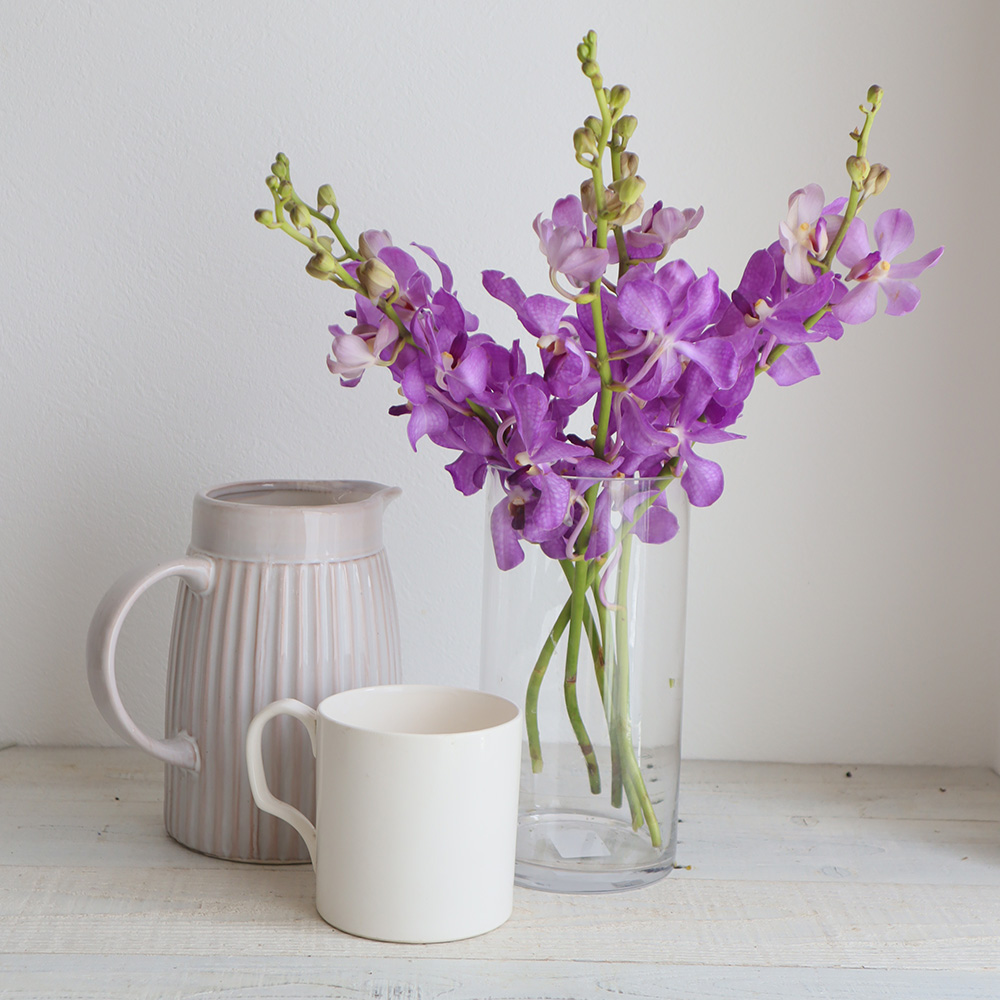 生花 モカラ ライラックブルー うす紫 M 通販 はなどんやアソシエ 生花 モカラ ライラックブルー うす紫 M 通販 はなどんやアソシエ