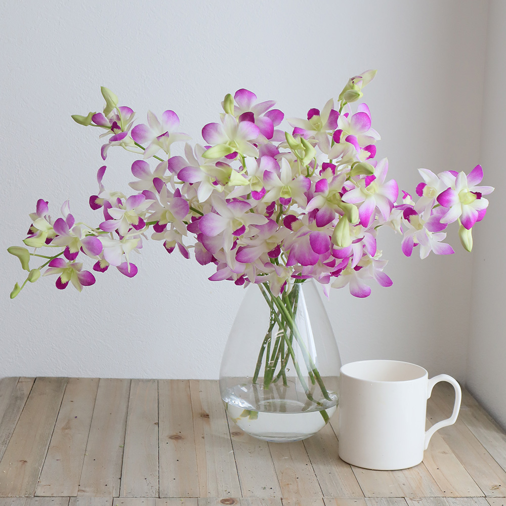 生花 国産デンファレ ピンク 30cm程度 品種おまかせ 濃淡選べません Jaおきなわ Ita 通販 はなどんやアソシエ