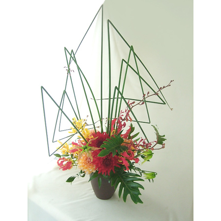 直前 モカラ タミー 黄色 細弁 生花 通販 はなどんやアソシエ 直前 モカラ タミー 黄色 細弁 生花 通販 はなどんやアソシエ