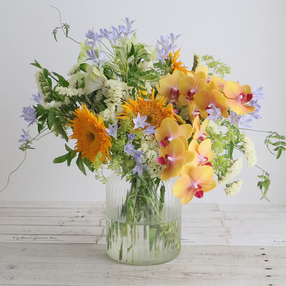 生花】ミディ胡蝶蘭 KSゴールデン(約7輪) 加藤洋ラン園【IT-21