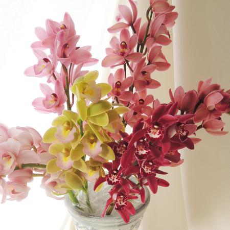 【生花】テーブルシンビ　色MIX(Sサイズ30-40cm)【早締切-71】石田蘭園