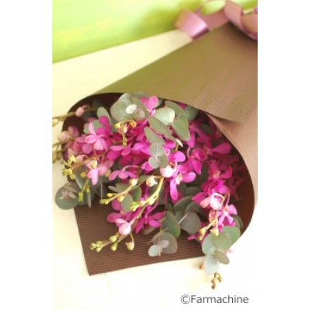 生花 ボリューム割引 モカラ カリプソ 濃いピンク 通販 はなどんやアソシエ