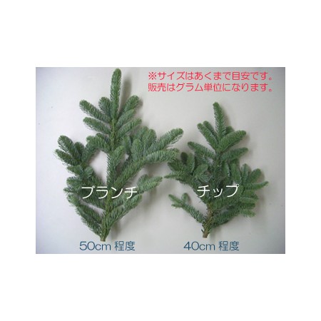 【在G】モミ枝チップ(LOT割1/4cs)