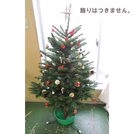 生花ご予約 本物のモミの木 クリスマスツリー 4 5feet 宅急便不可 引取 配達要相談 届日限定 通販 はなどんやアソシエ 生花ご予約 本物のモミの木 クリスマスツリー 4 5feet 宅急便不可 引取 配達要相談 届日限定 通販 はなどんやアソシエ