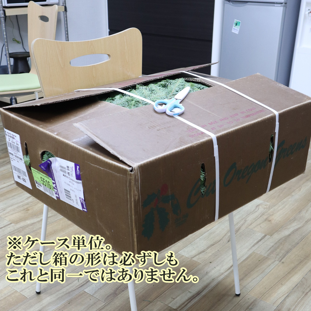 生花】モミ枝チップ (ケース単位約60本入)【空輸便】 - 花材通販はなど