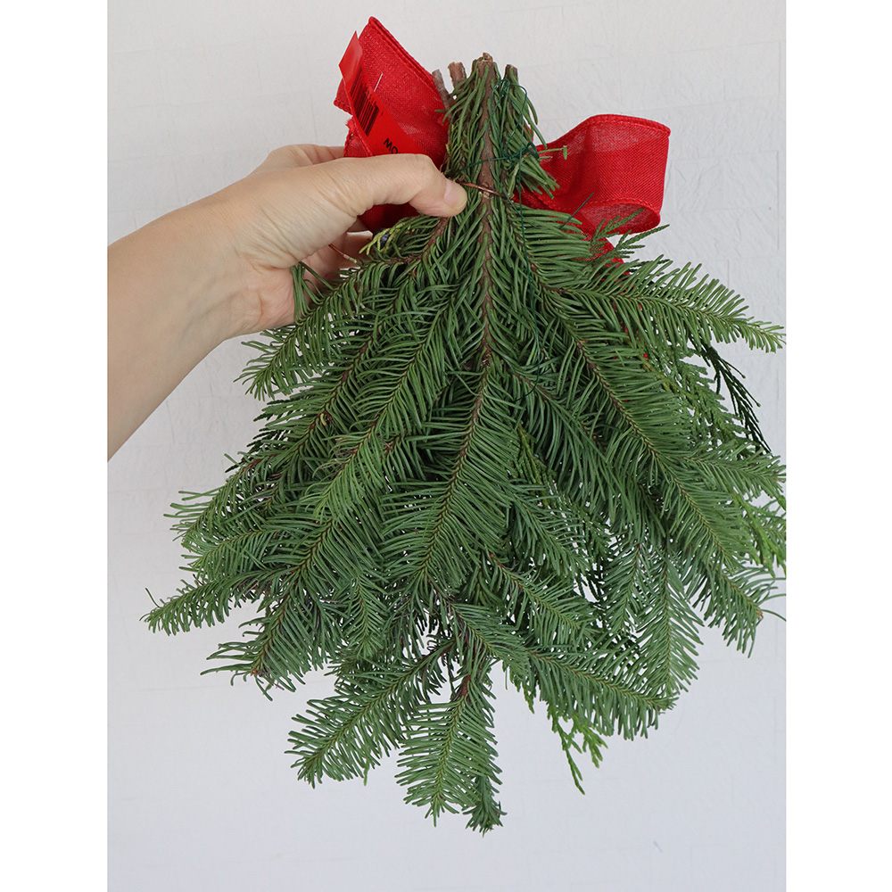 生花】オレゴン産 クリスマス ミニスワッグ【空輸便】 - 花材通販は