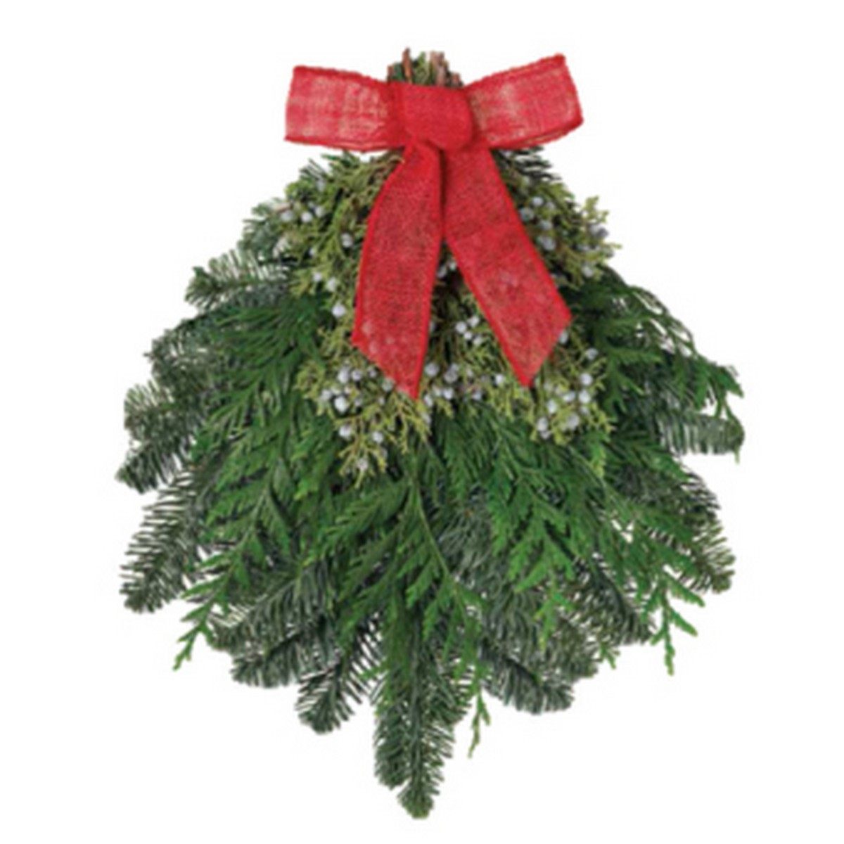 生花】オレゴン産 クリスマス ミニスワッグ【空輸便】 - 花材通販は