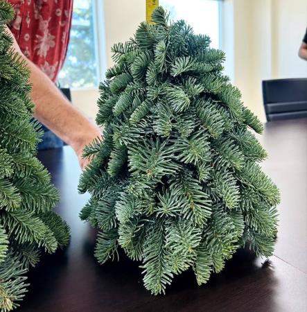 【生花】クリスマス　テーブルトップツリー　オレゴン産　【空輸便】