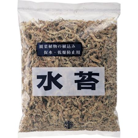 【生花/即納】水苔　約70グラム【S2-31】/165-1050-0