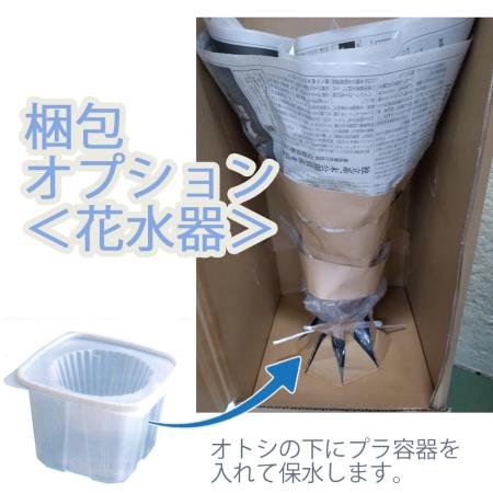 【生花梱包オプション】花水器(はなみずき)で梱包