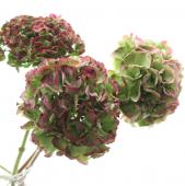 薔薇と紫陽花の幻想曲⭐︎コラージュ平袋２枚＆両面ローディッド１枚 アンティーク紫陽花キット(説明書+ ラフィアブルー2色×1Mずつ