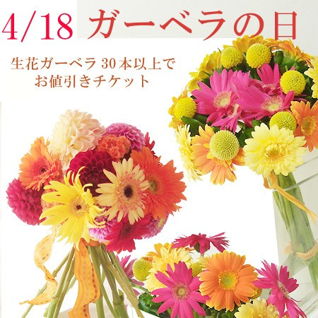 対応済み)4/18ガーベラの日フェア(4/10〜4/24届)☆さぎやまのガーベラ