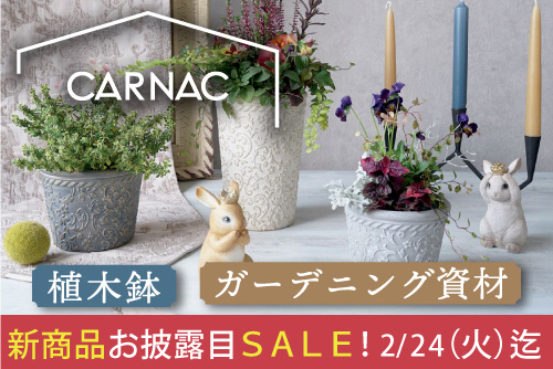 CARNACお披露目SALE