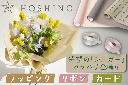 HOSHINO_SALE