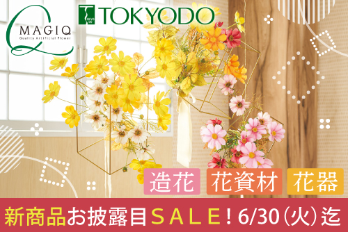 MAGIQ東京堂