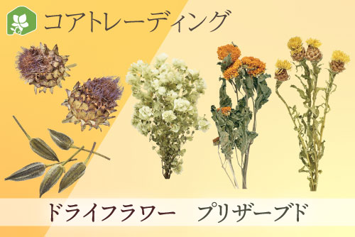 コアトレーディング