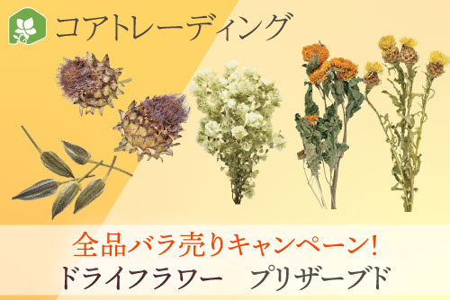 コアトレーディング