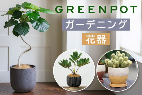 グリーンポット