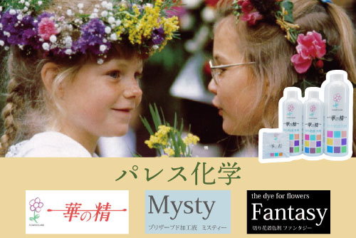 パレス化学