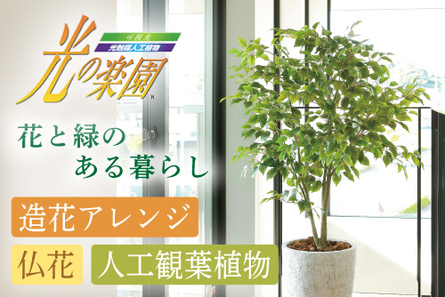 光の楽園