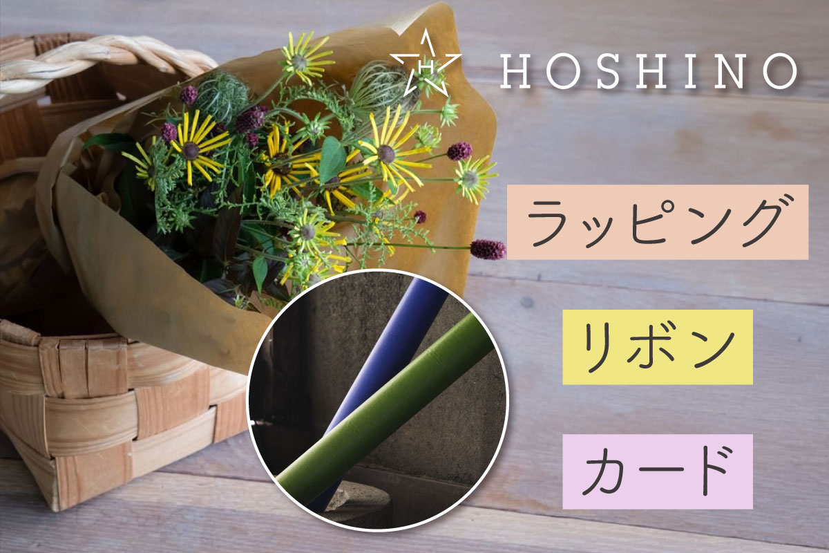 HOSHINO_SALE