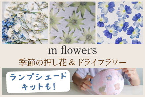m flowers