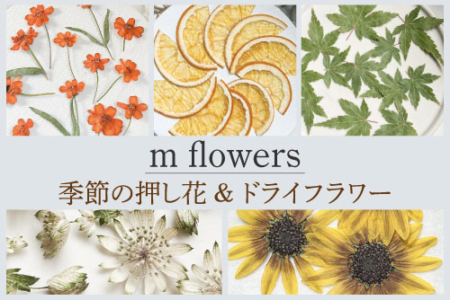 m flowers