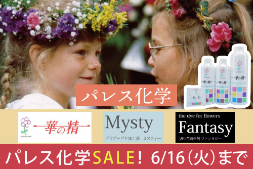 パレス化学セール