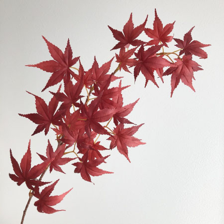 モミジ・イチョウ(秋色葉物)