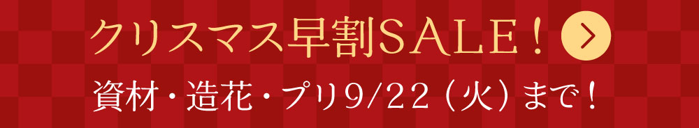 クリスマス早割ＳＡＬＥ