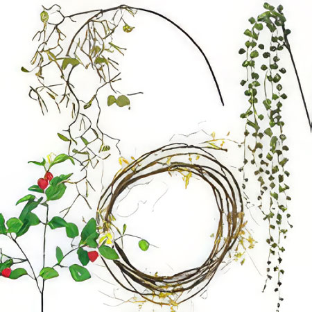 ナチュラルで動きの出る枝・グリーン