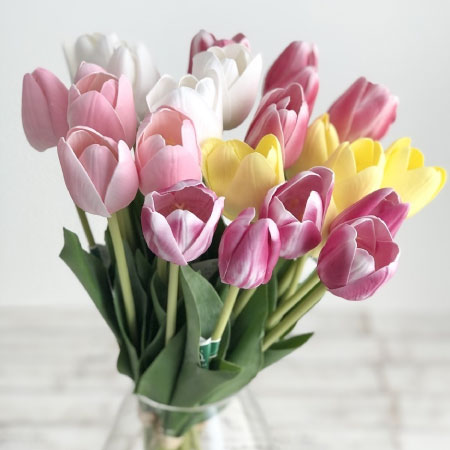 チューリップ(赤 ピンク 紫)