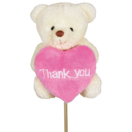 ピック・アクセサリー