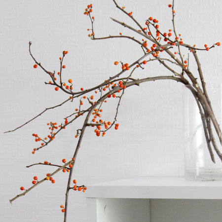 実付の枝もの　ツルウメ、ゲットウ