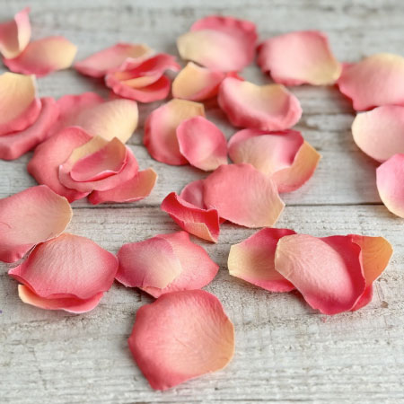 ペタル(はなびら)