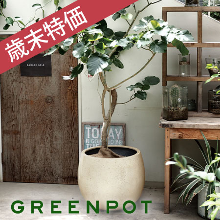 グリーンポット