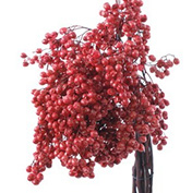 ペッパーベリー