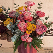 アンティークカラープリザーブド