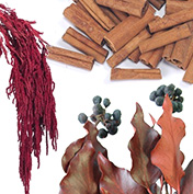 秋色おすすめ小花・グリーン・実物系