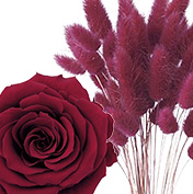 秋色プリザ大地農園ワインレッド