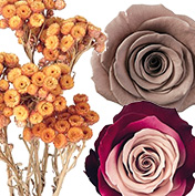 秋色プリザその他の秋色