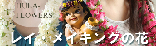 生花 切り花 フラ レイメイキング花材の通販なら はなどんやアソシエ 通販 はなどんやアソシエ