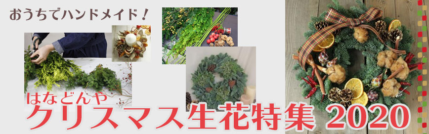 クリスマスのお花特集